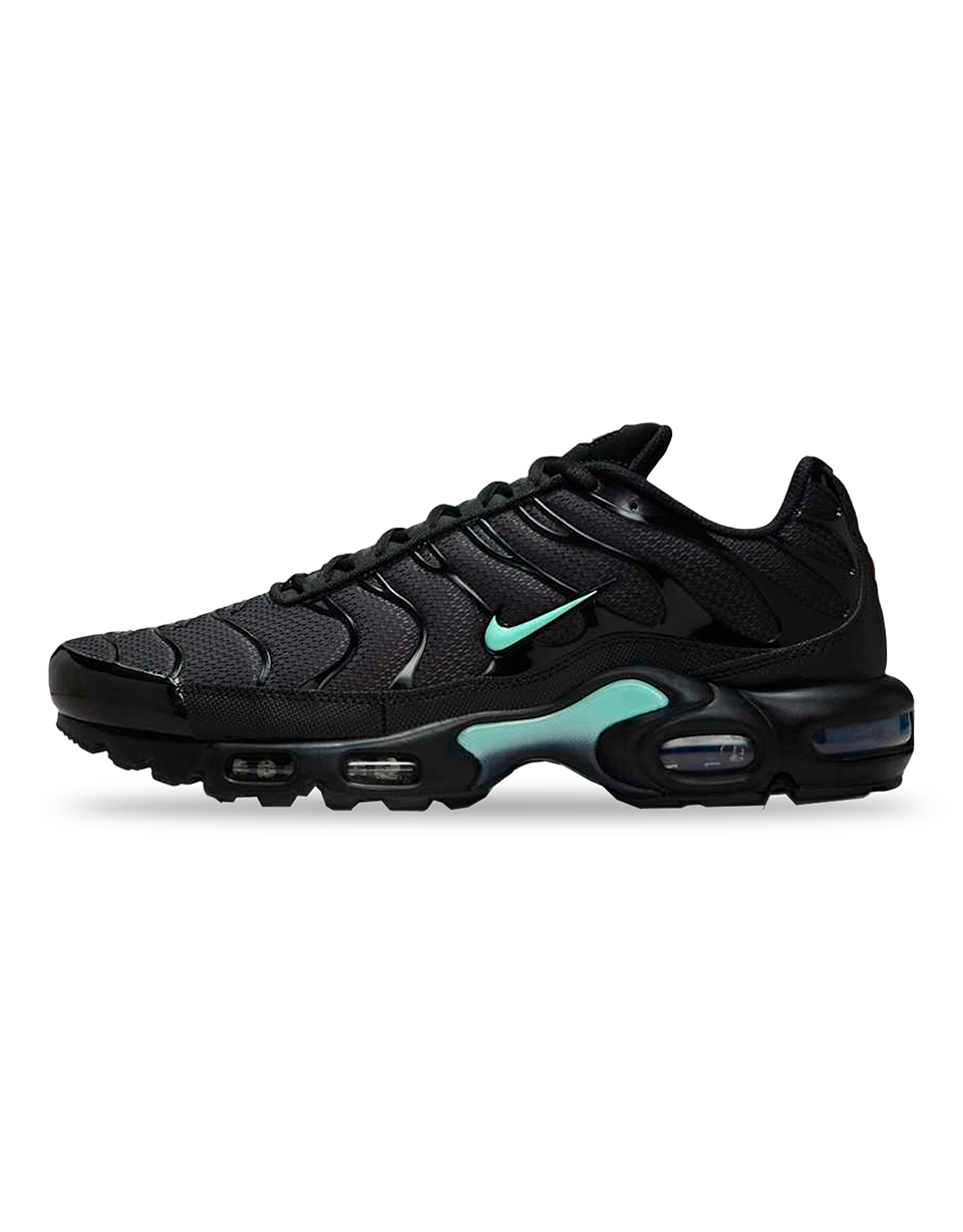 Nike Air Max Plus Black Mint Green