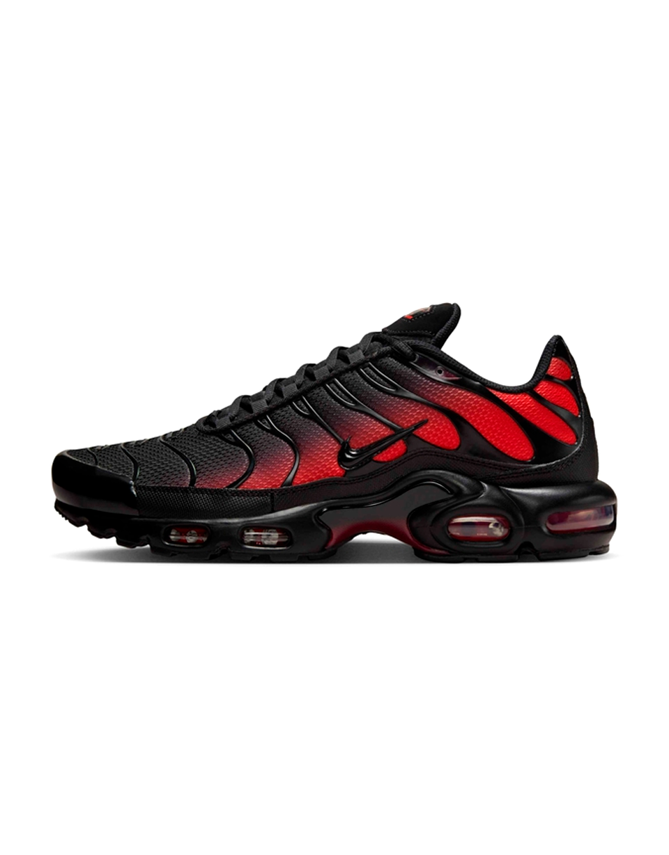 Nike Air Max Plus Gradient Bred